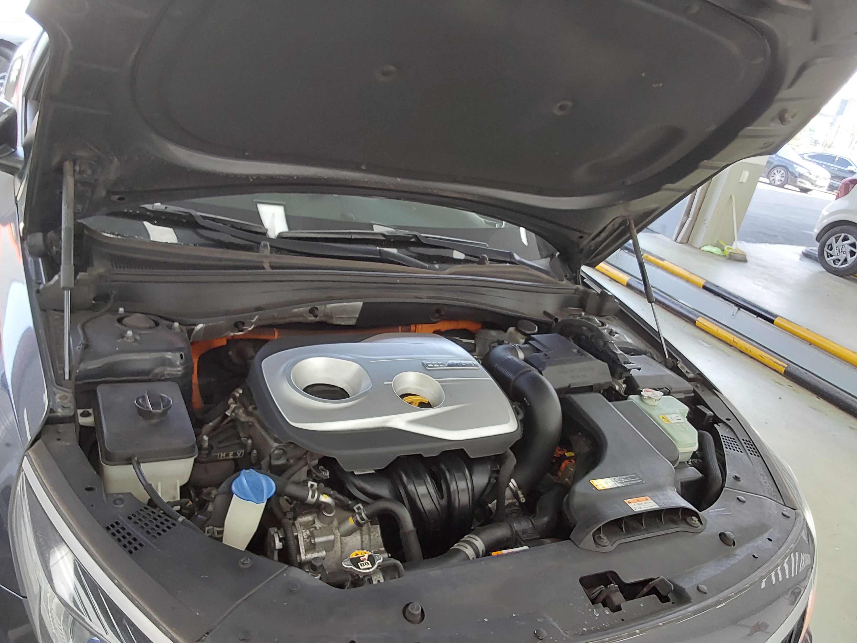 기아 뉴 2019 - 이미지 18