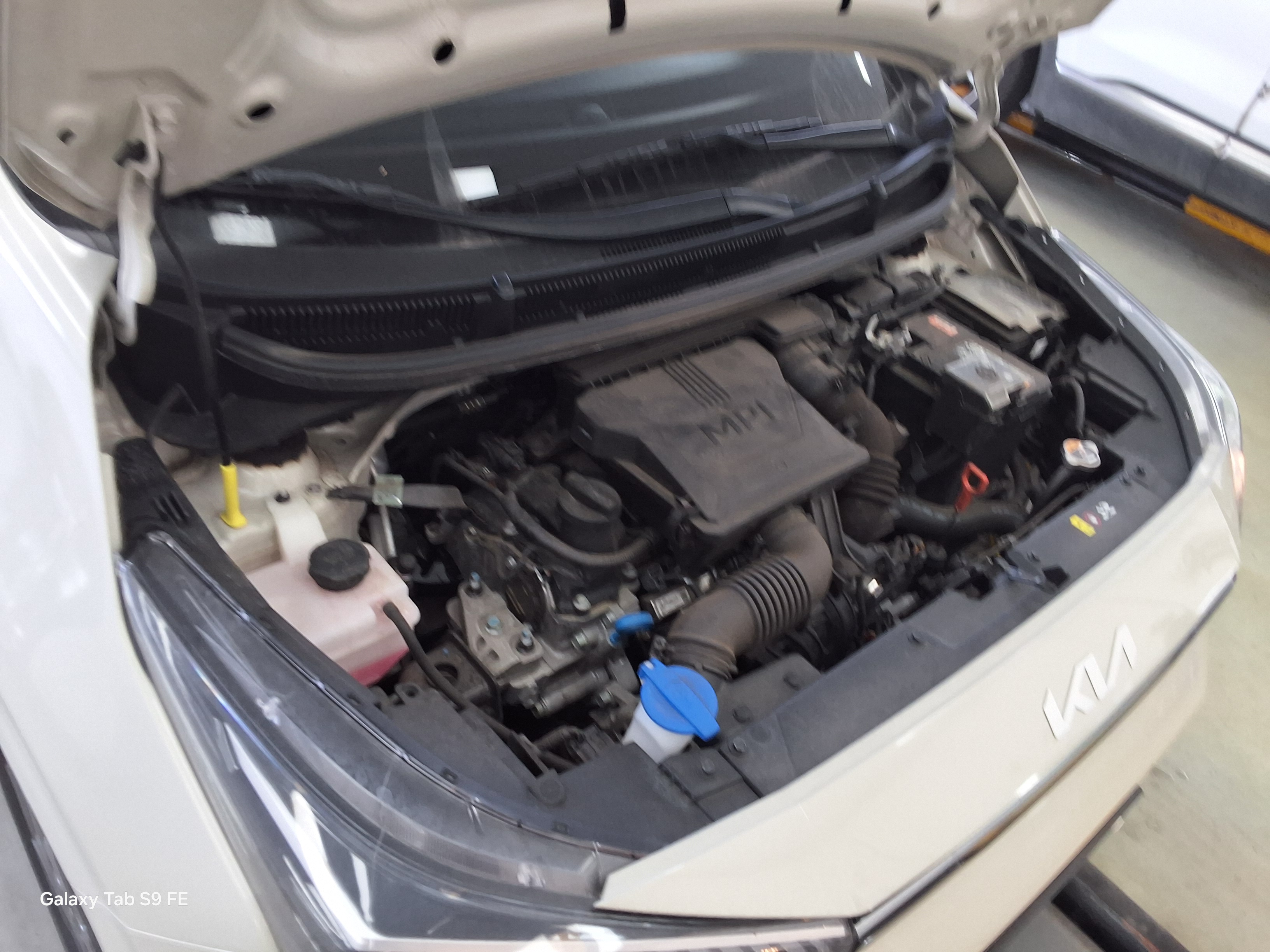 كيا مورنينج 2025 - صورة 19