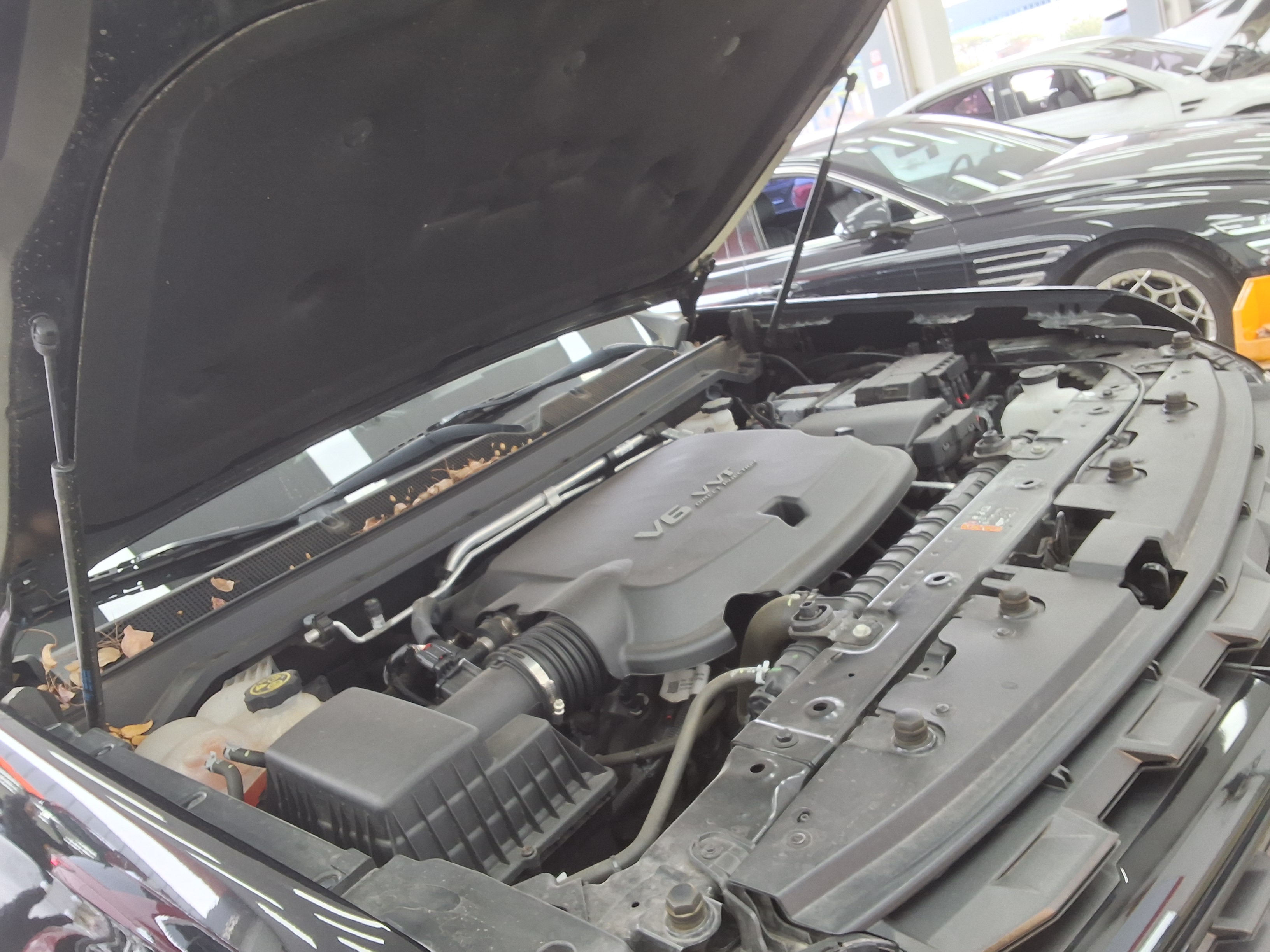 جنرال موتورز كوريا كولورادو 2022 - صورة 16