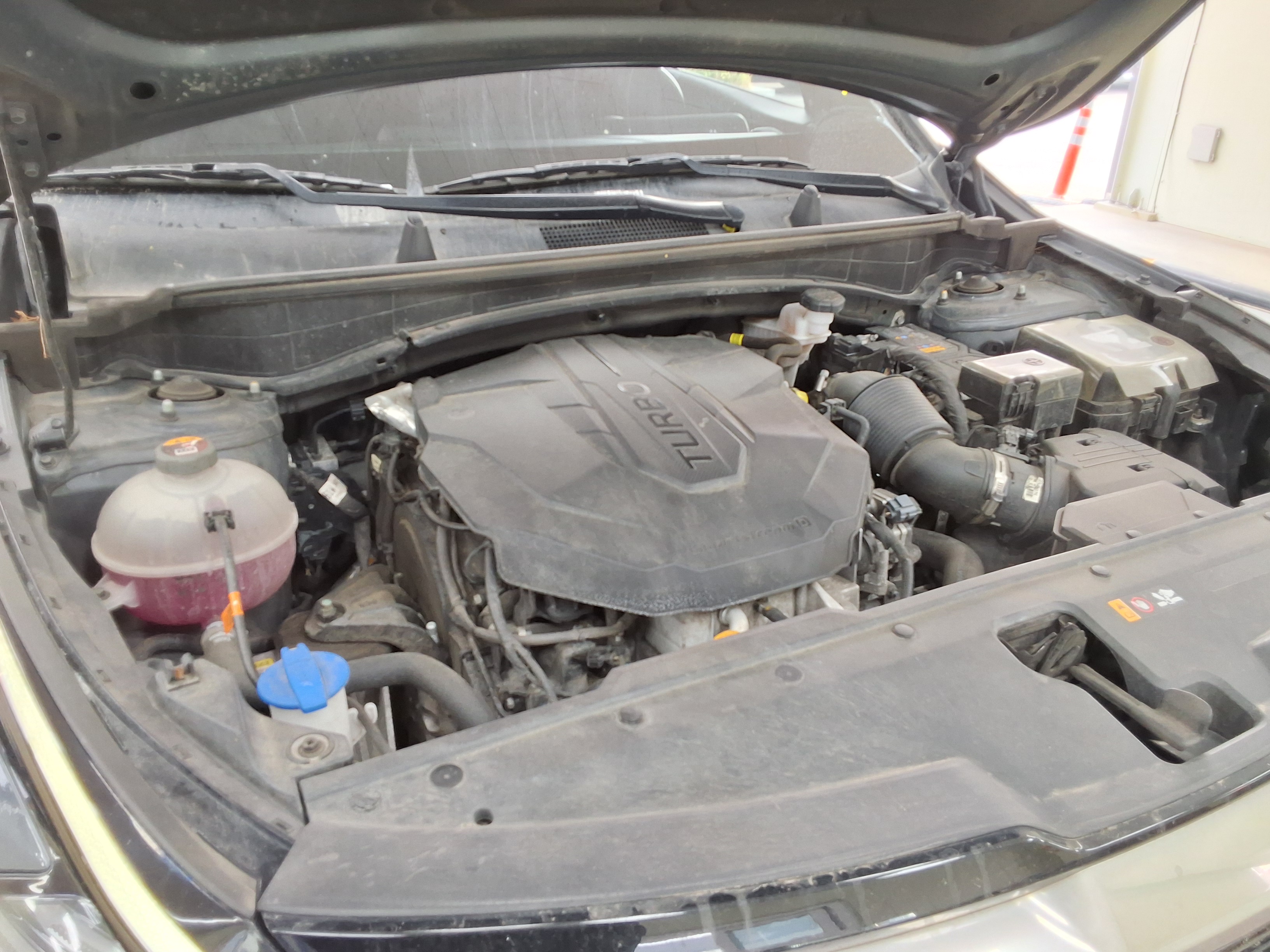 كيا - سبورتاج - Image 19