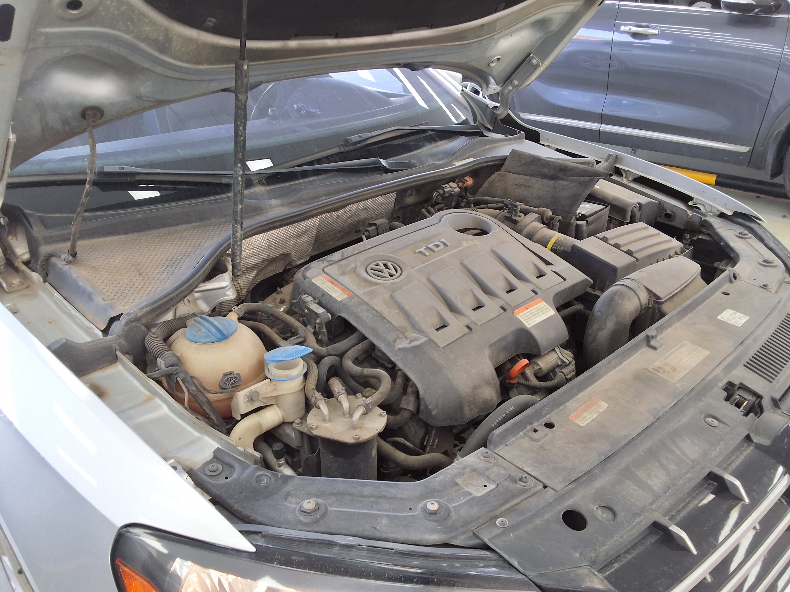 فولكس فاجن أخرى 2013 - صورة 16