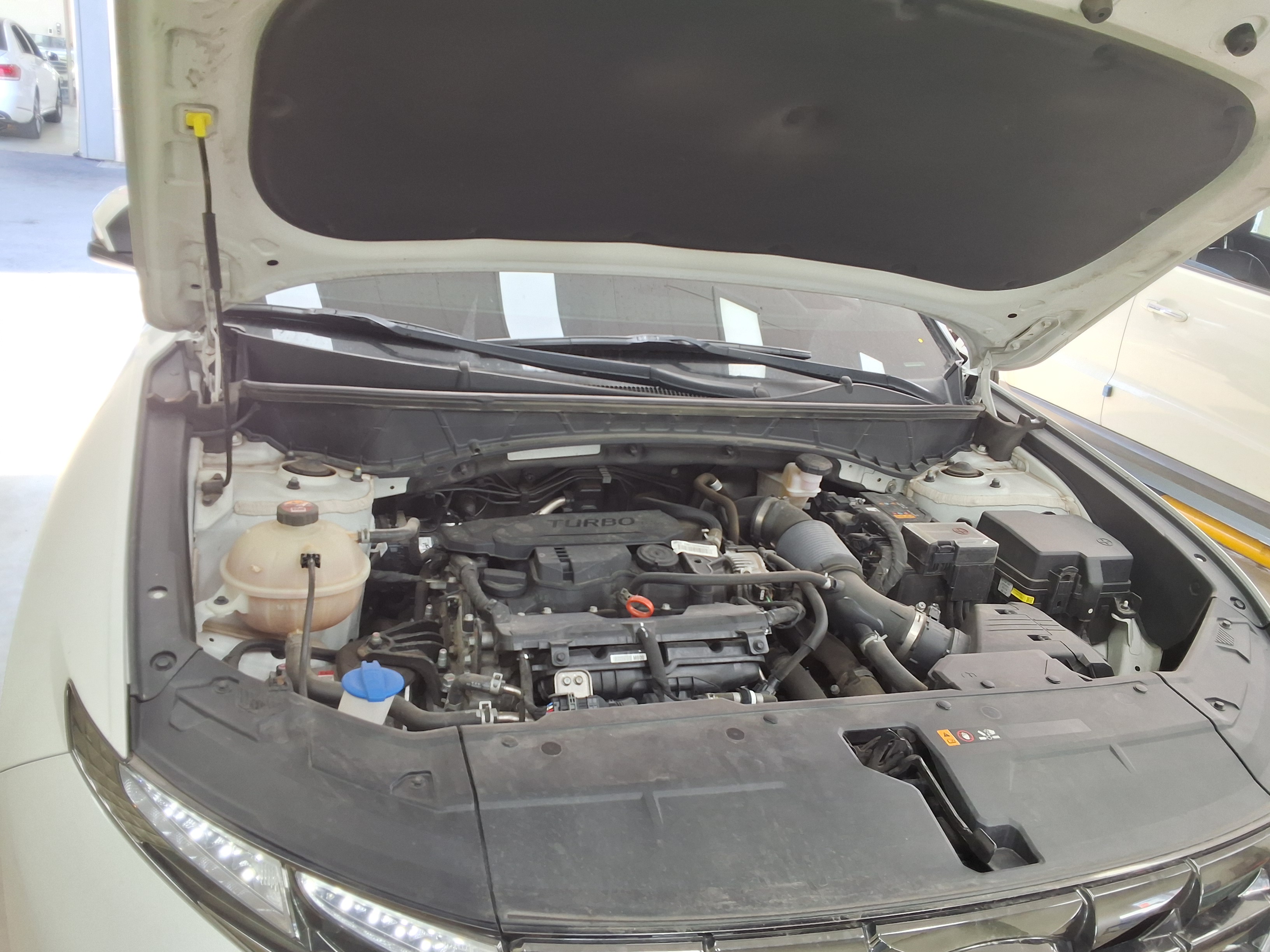 هيونداي - توسان - Image 19