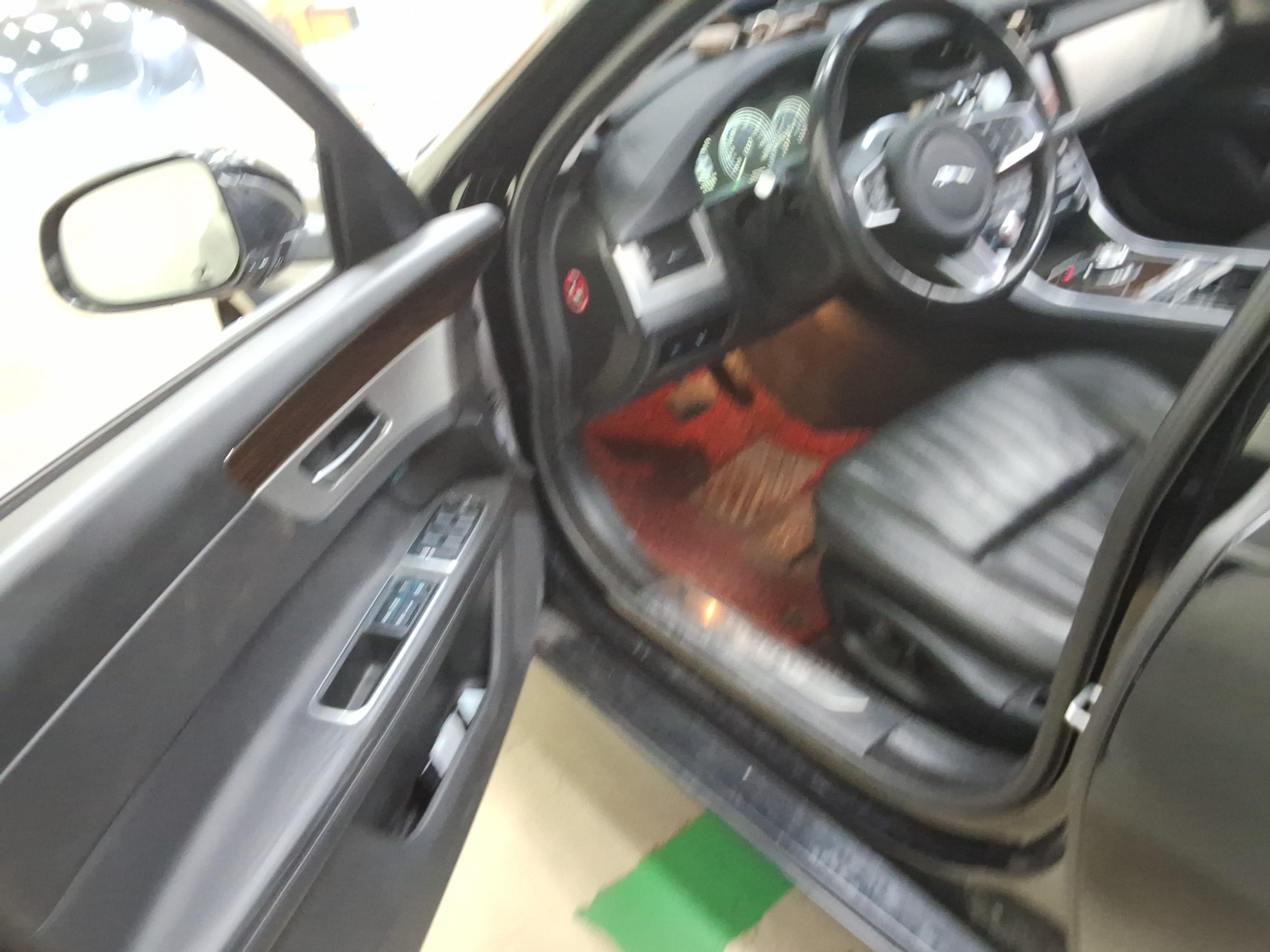 Jaguar Jaguar 2018 - Image 9