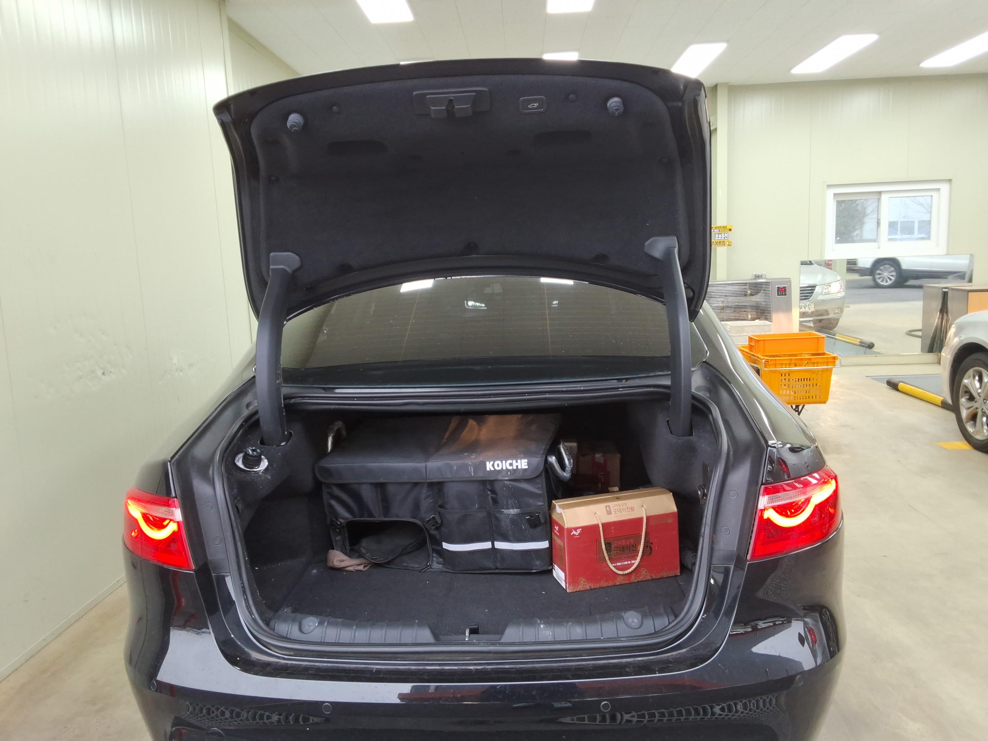 Jaguar Jaguar 2018 - Image 12