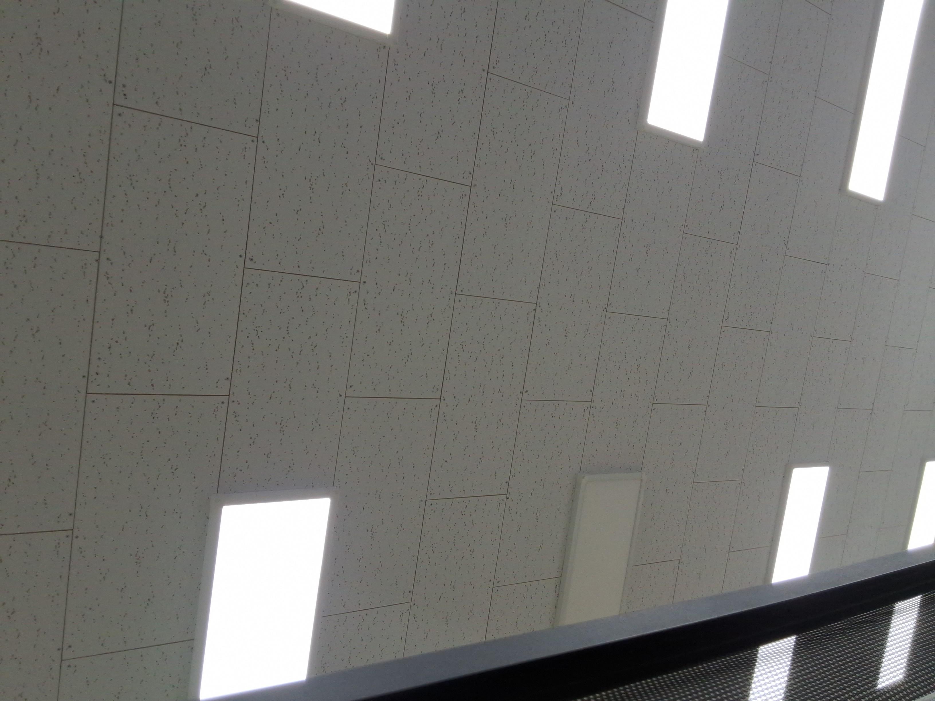 Jaguar Jaguar 2018 - Image 18