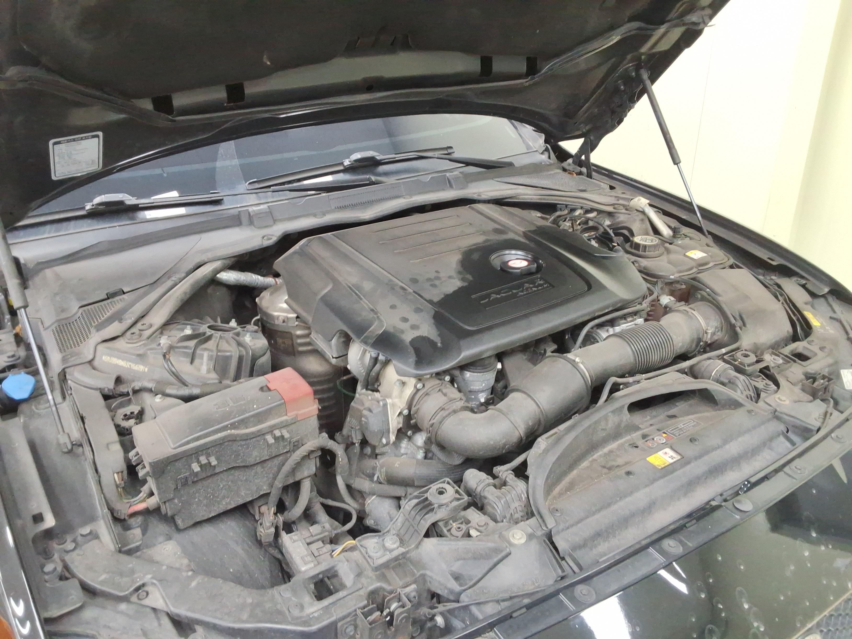 Jaguar Jaguar 2018 - Image 20