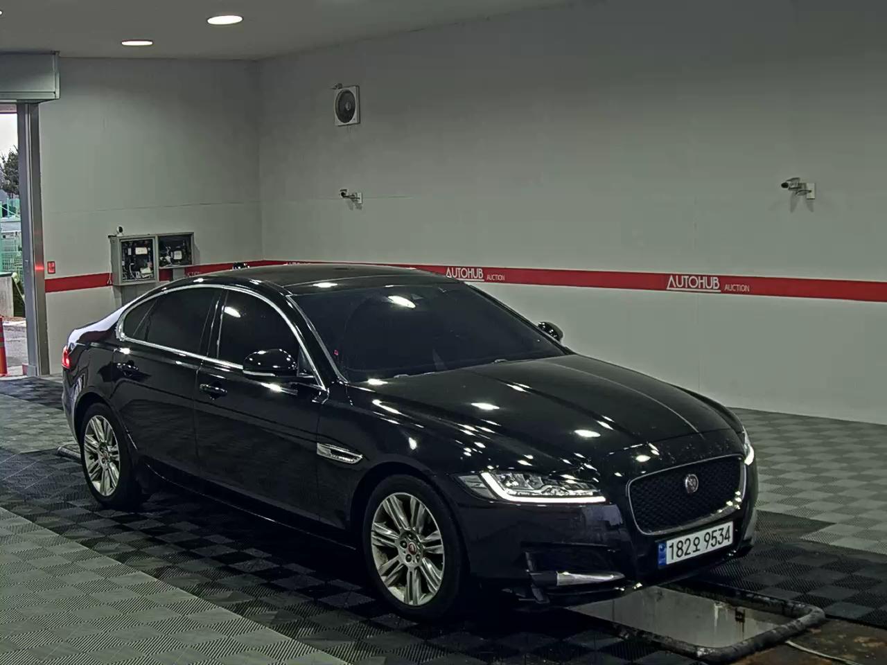 Jaguar Jaguar 2018 - Image 2