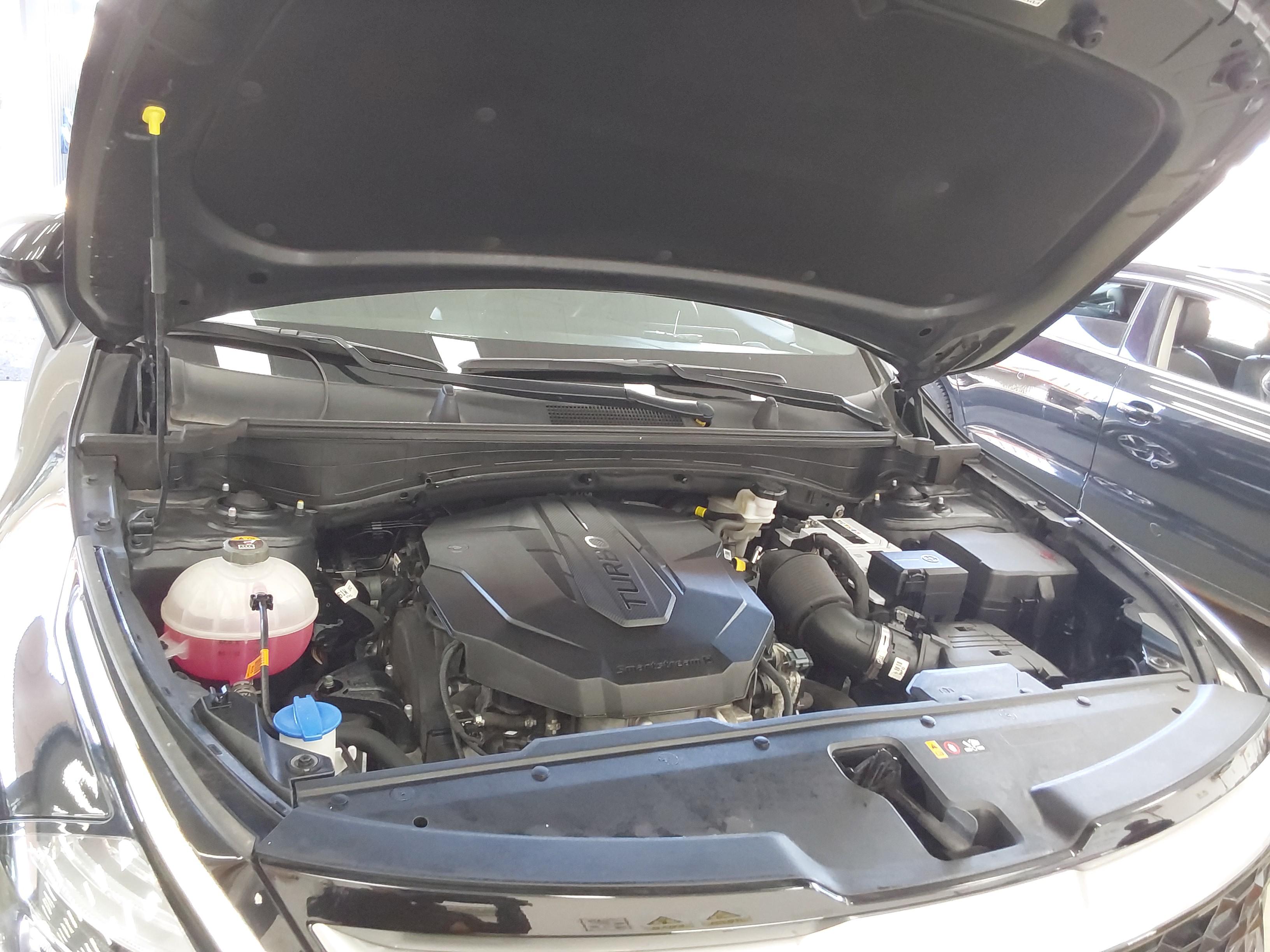 كيا - سبورتاج - Image 15