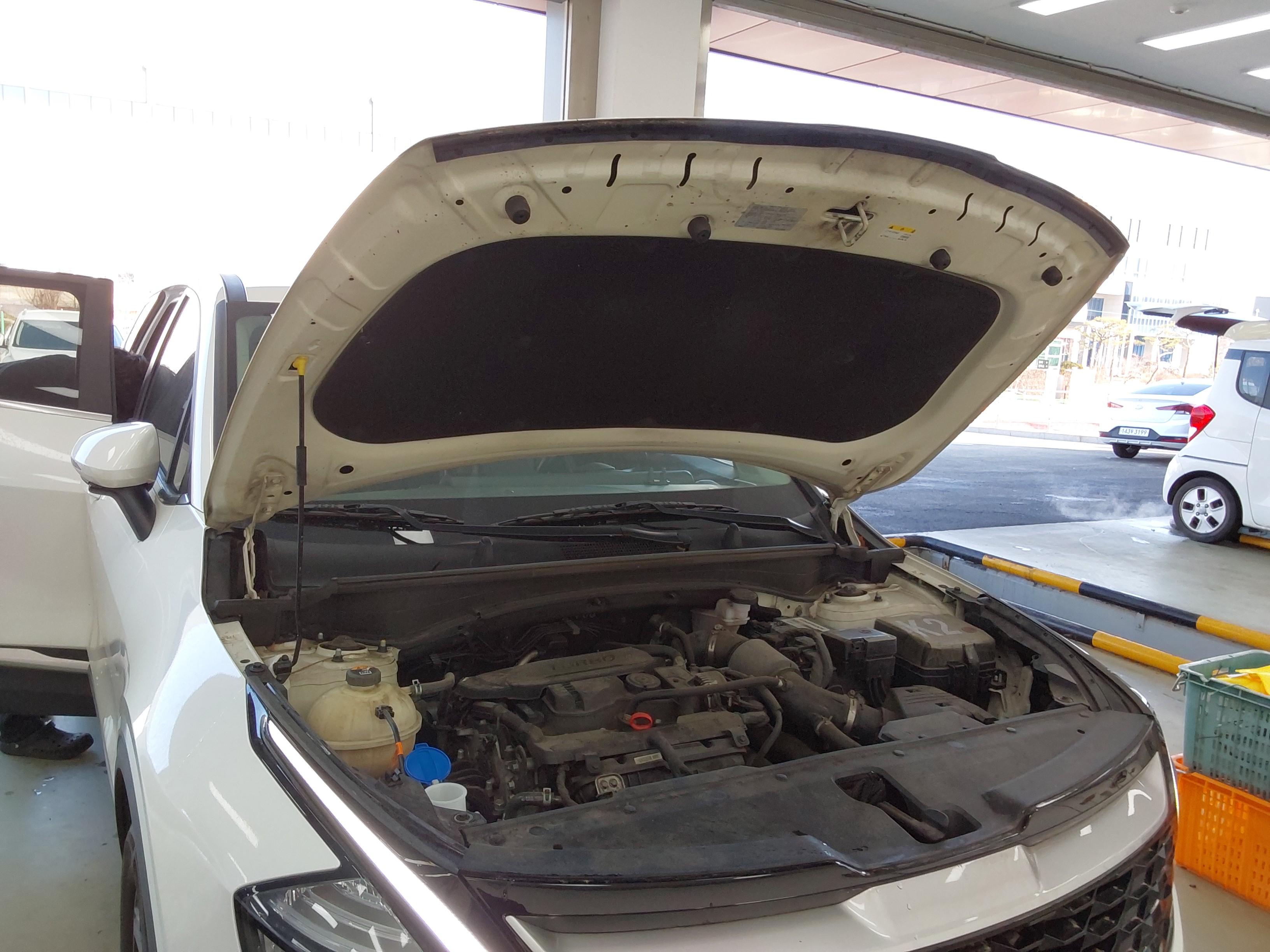 كيا - سبورتاج - Image 17