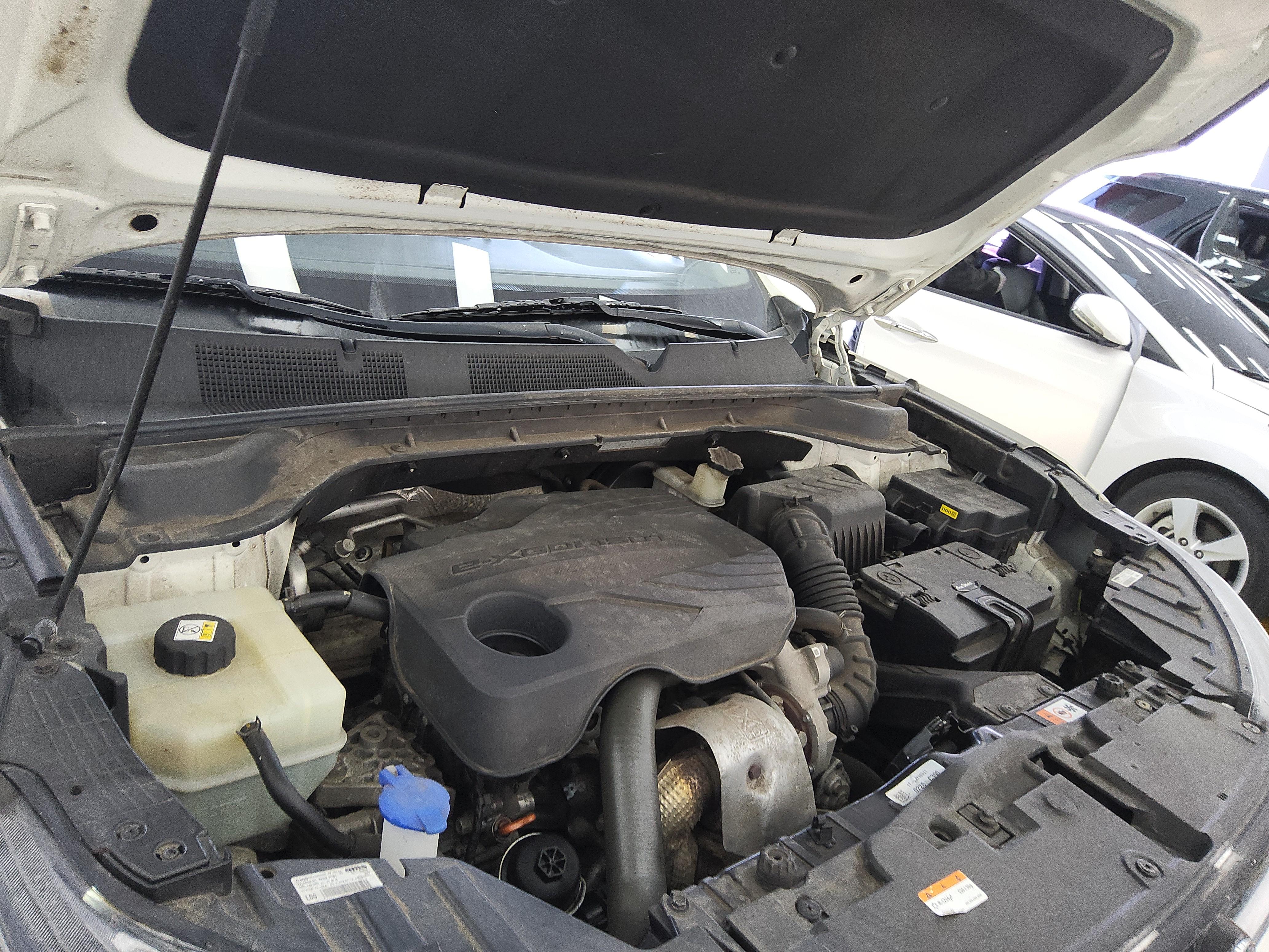 쌍용자동차 코란도 2021 - 이미지 17